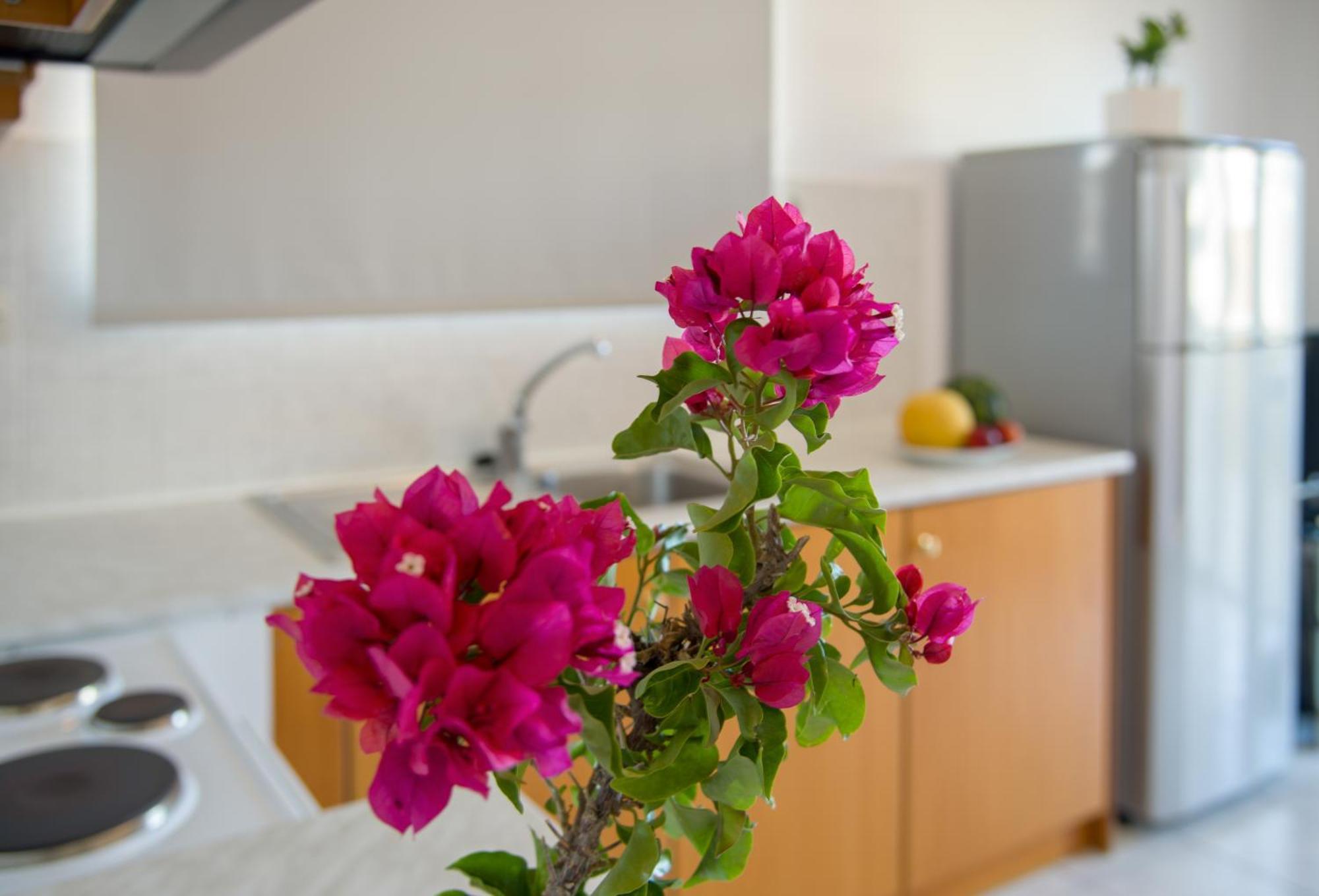 Casa Di Halepa Apartment Chania  Exterior photo